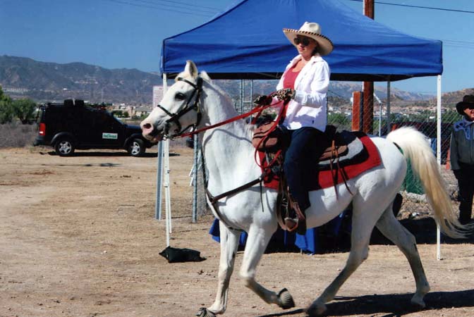 Cliffie Stone Equestrian Trail