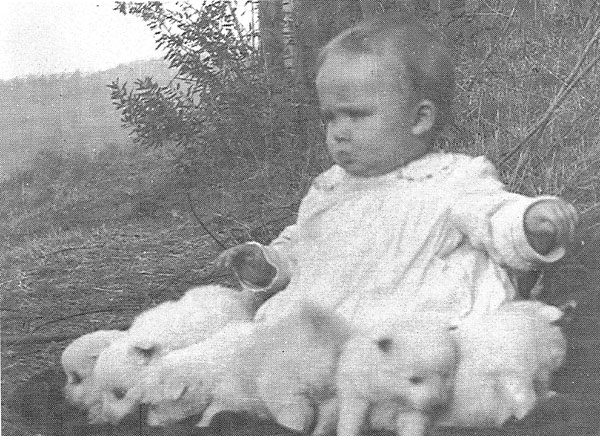 Cliffie Stone Family Photos